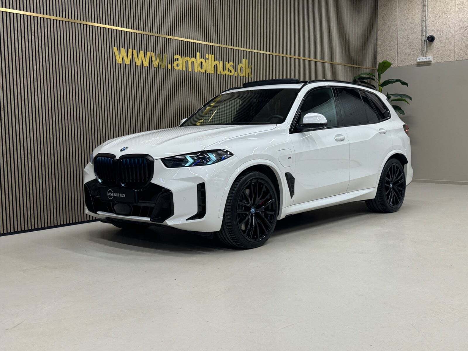 Hvid BMW X5 fra 2025