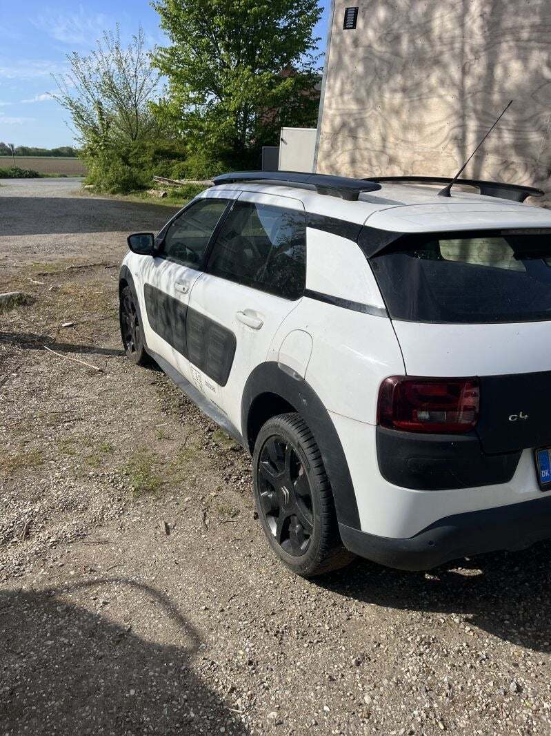 Citroën C4 Cactus 1,6 BlueHDi 100 Challenge Van