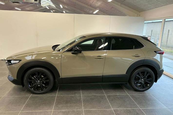 Brun Mazda CX-30 fra 2024