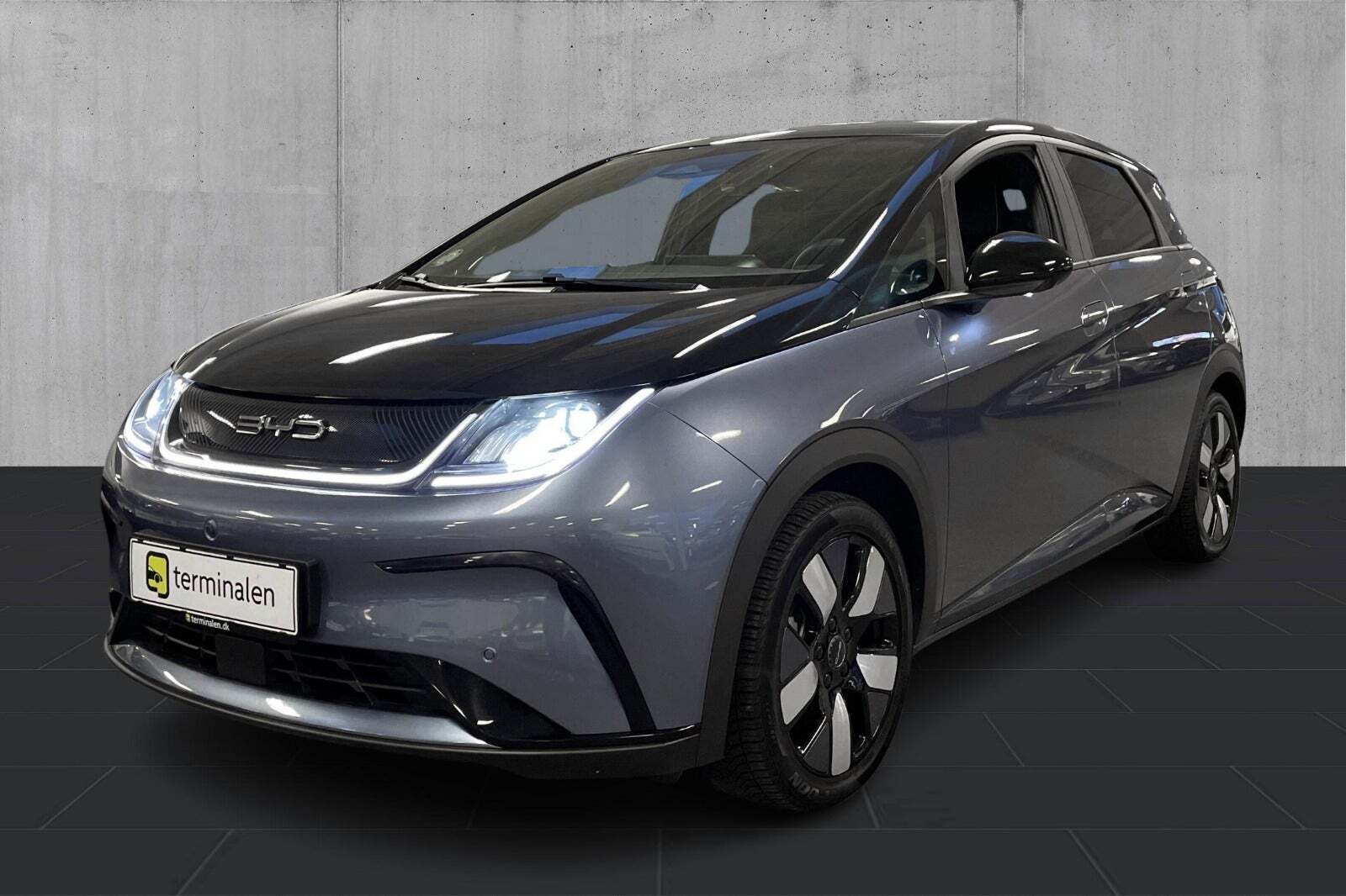 BYD Dolphin 60 Design