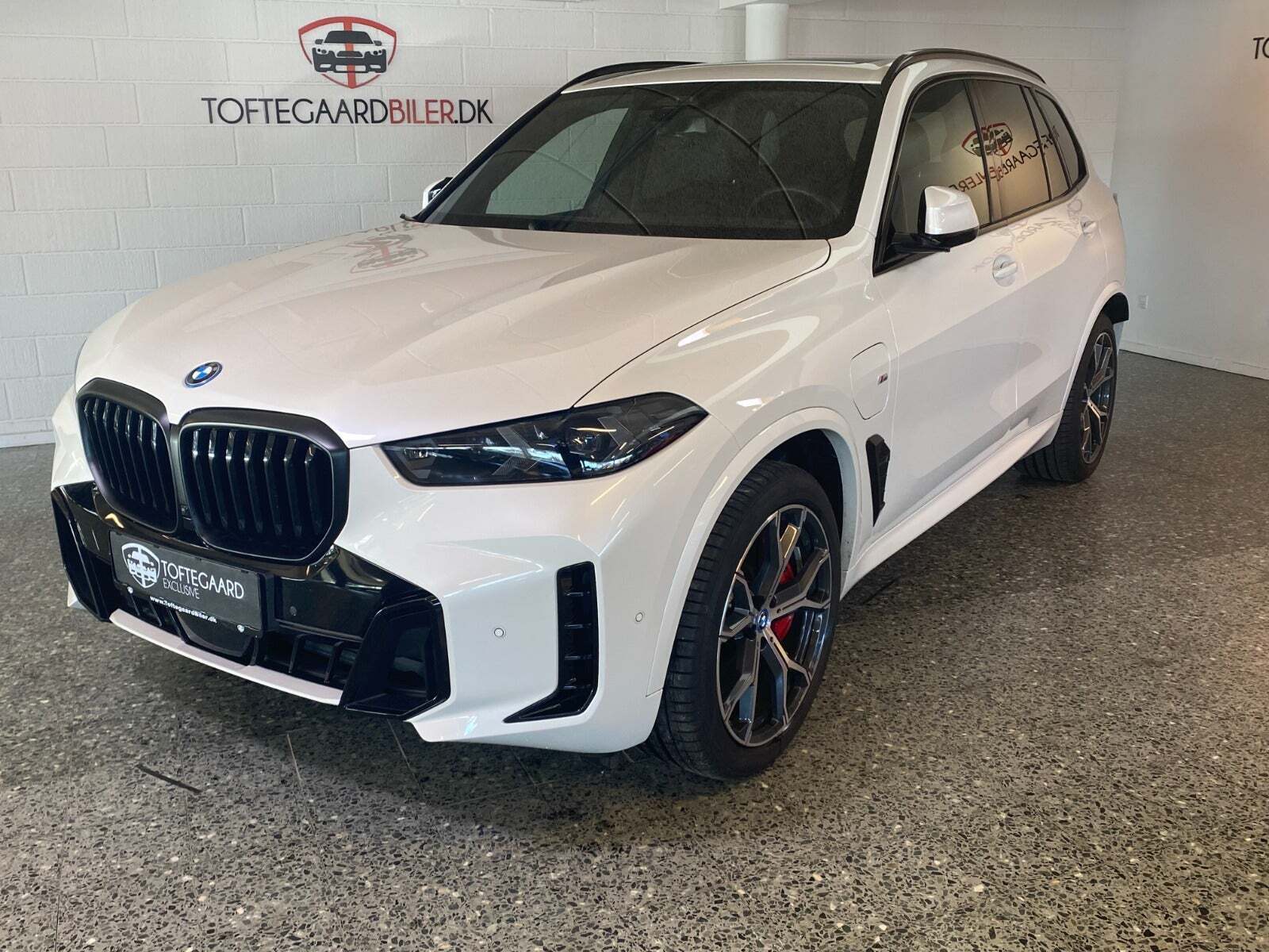BMW X5 3,0 xDrive50e M-Sport+ aut.