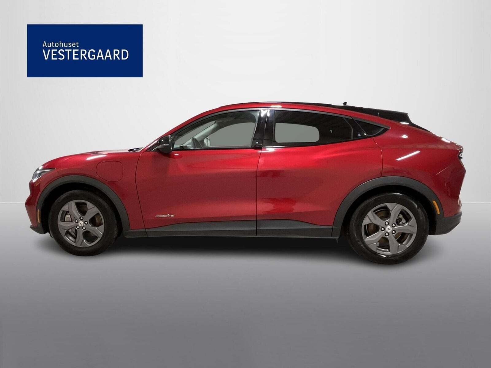 Ford Mustang Mach-E 75 Standard Range