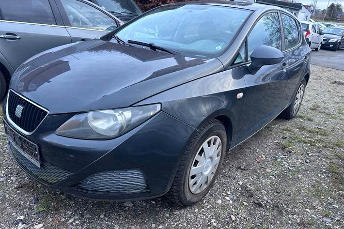 Grøn Seat Ibiza fra 2010 set udefra