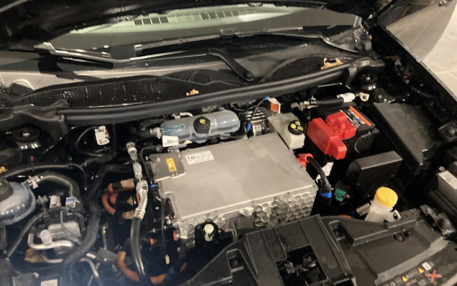 Sort Renault R5 fra 2025