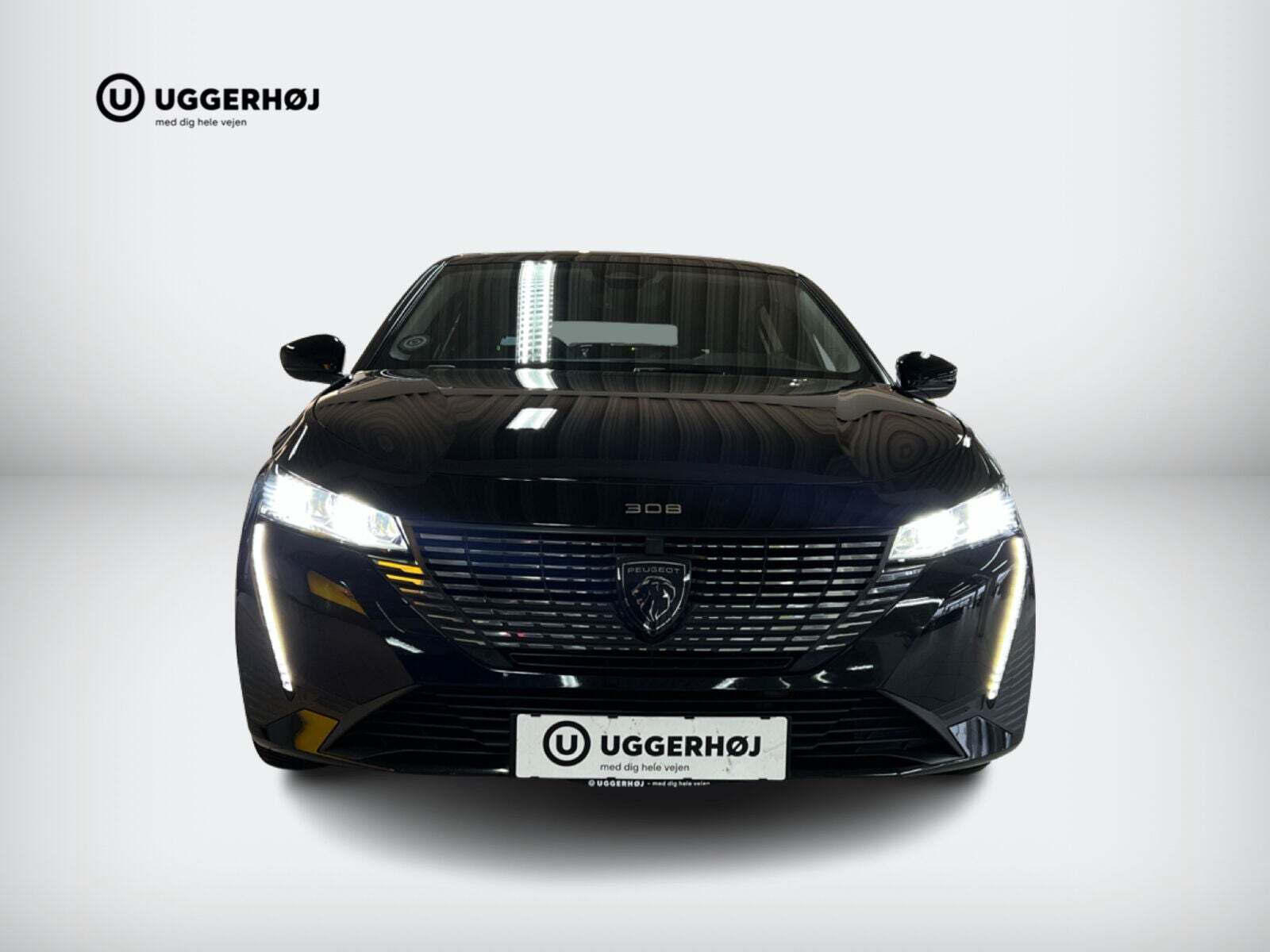 Peugeot 308 1,6 Hybrid First Selection EAT8