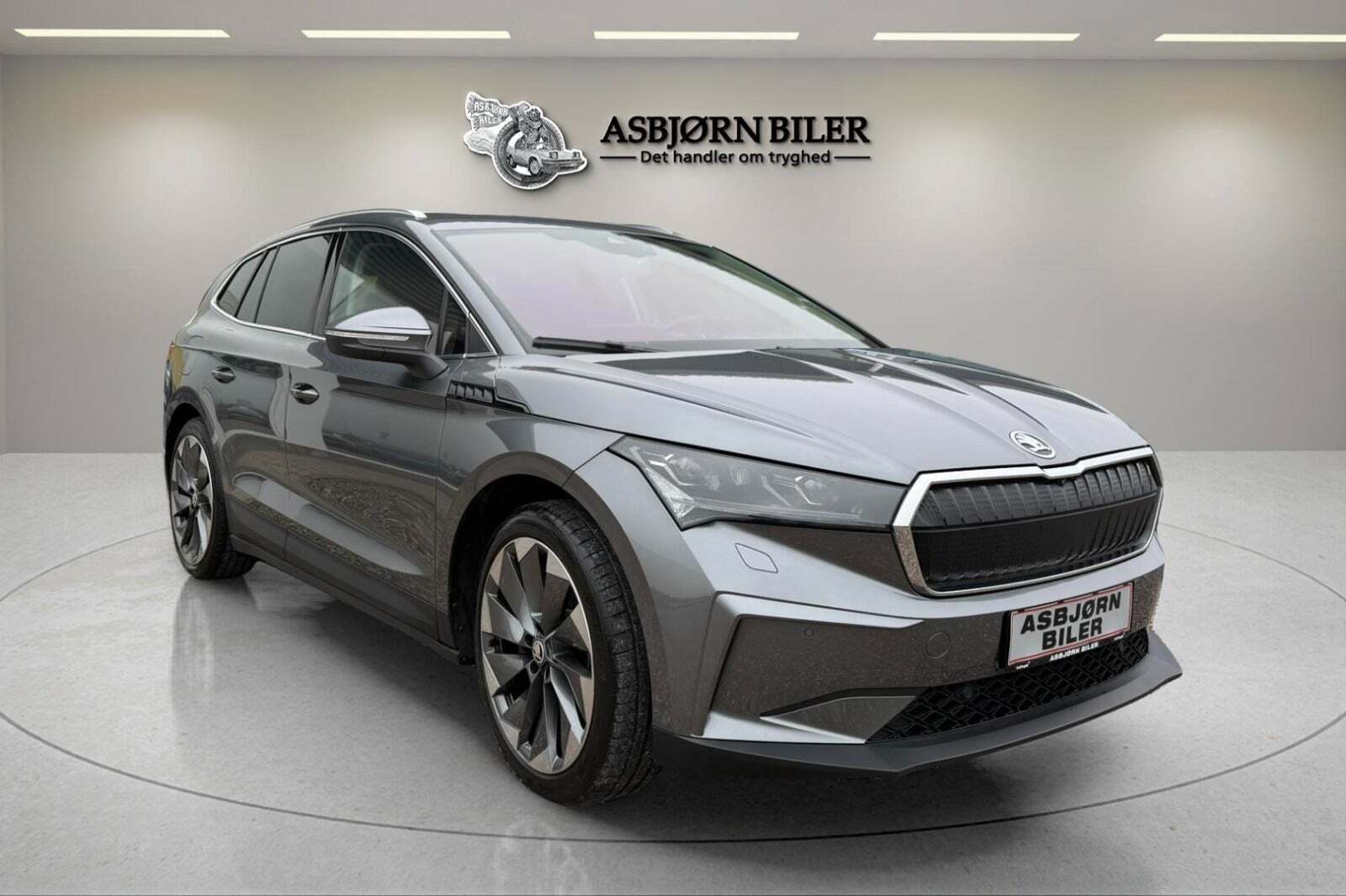 Skoda Enyaq 80 iV ecoSuite