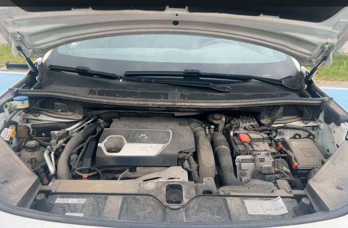 Hvid DS DS 7 CrossBack fra 2020