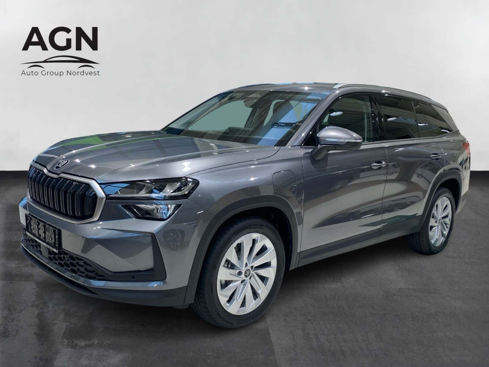 Skoda Kodiaq 1,5 TSi iV Selection DSG