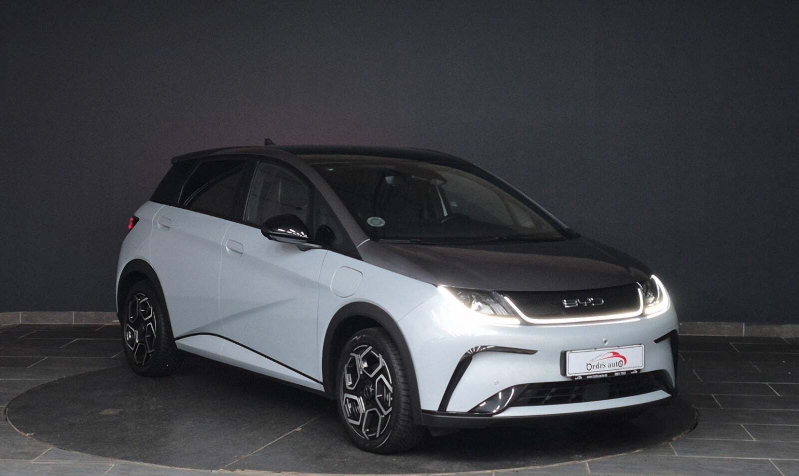 BYD Dolphin 60 Design