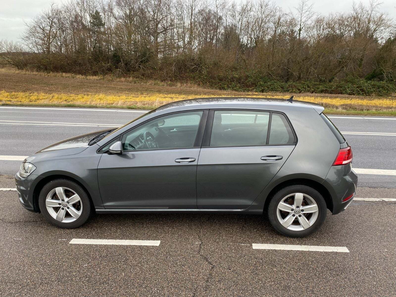 Grå VW Golf VII fra 2019