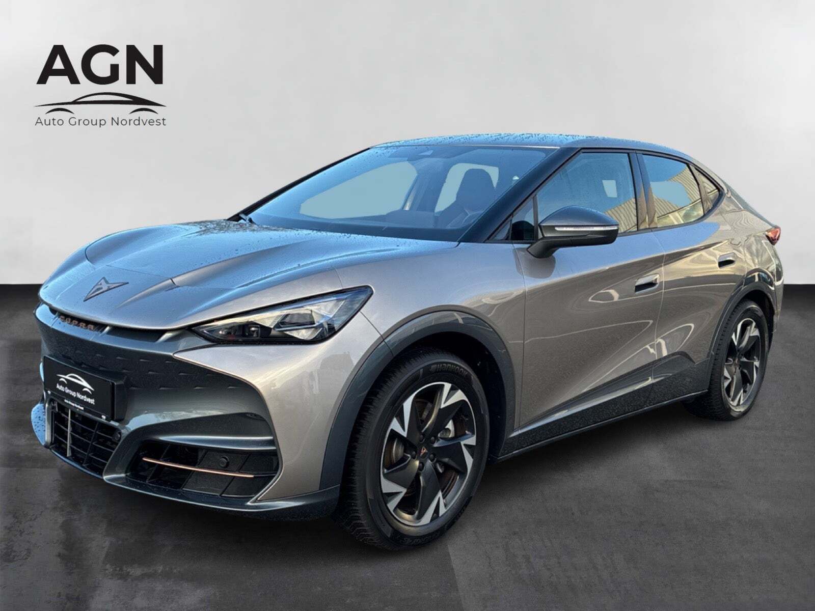 Cupra Tavascan 77 Endurance