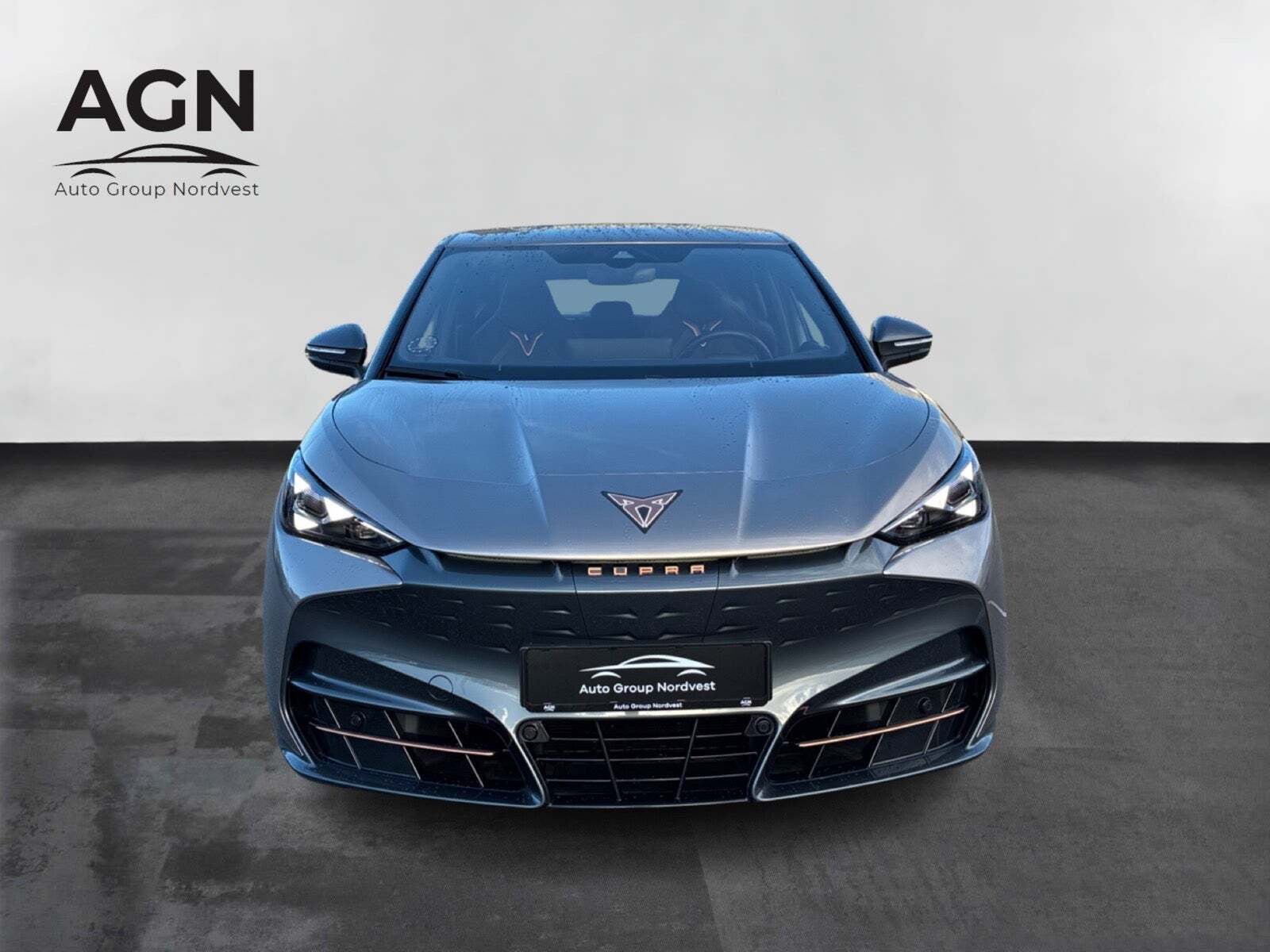 Cupra Tavascan 77 Endurance