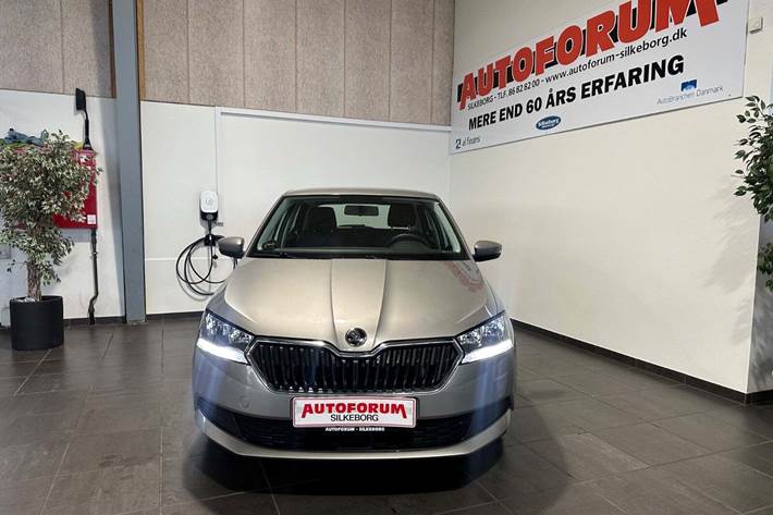 Beige Skoda Fabia fra 2019