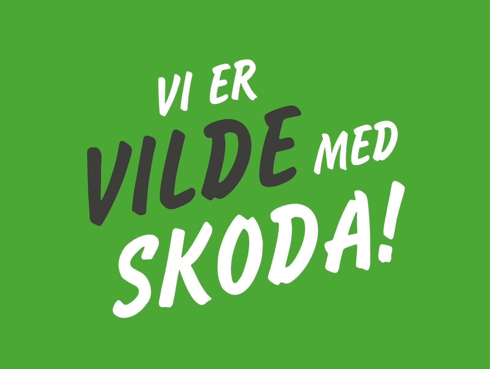Grå Skoda Fabia fra 2015