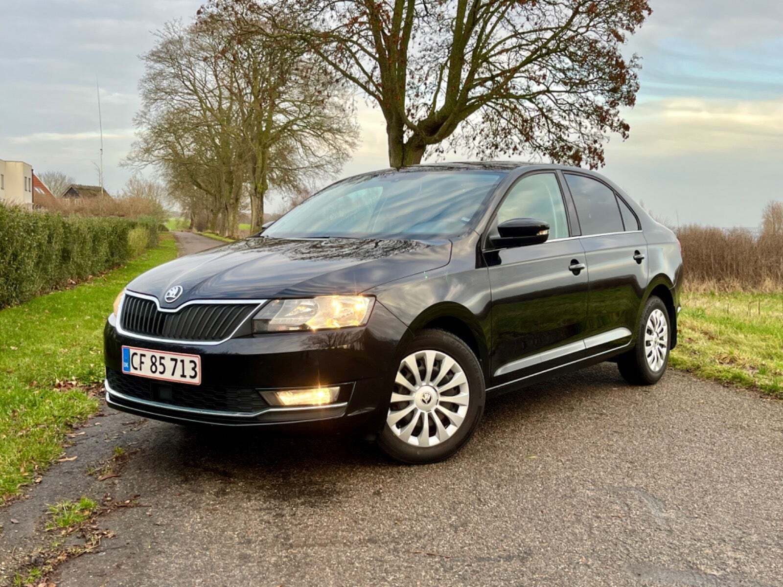 Skoda Rapid 1,0 TSi 110 ICE DSG