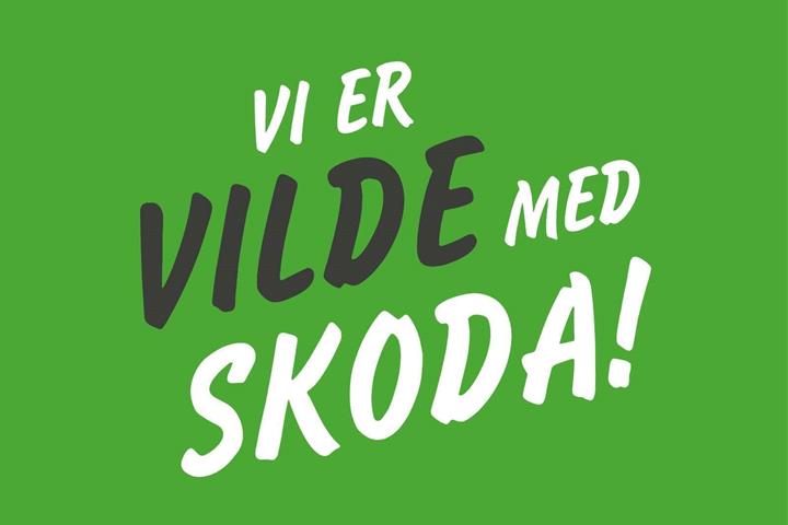 Sort Skoda Fabia fra 2018