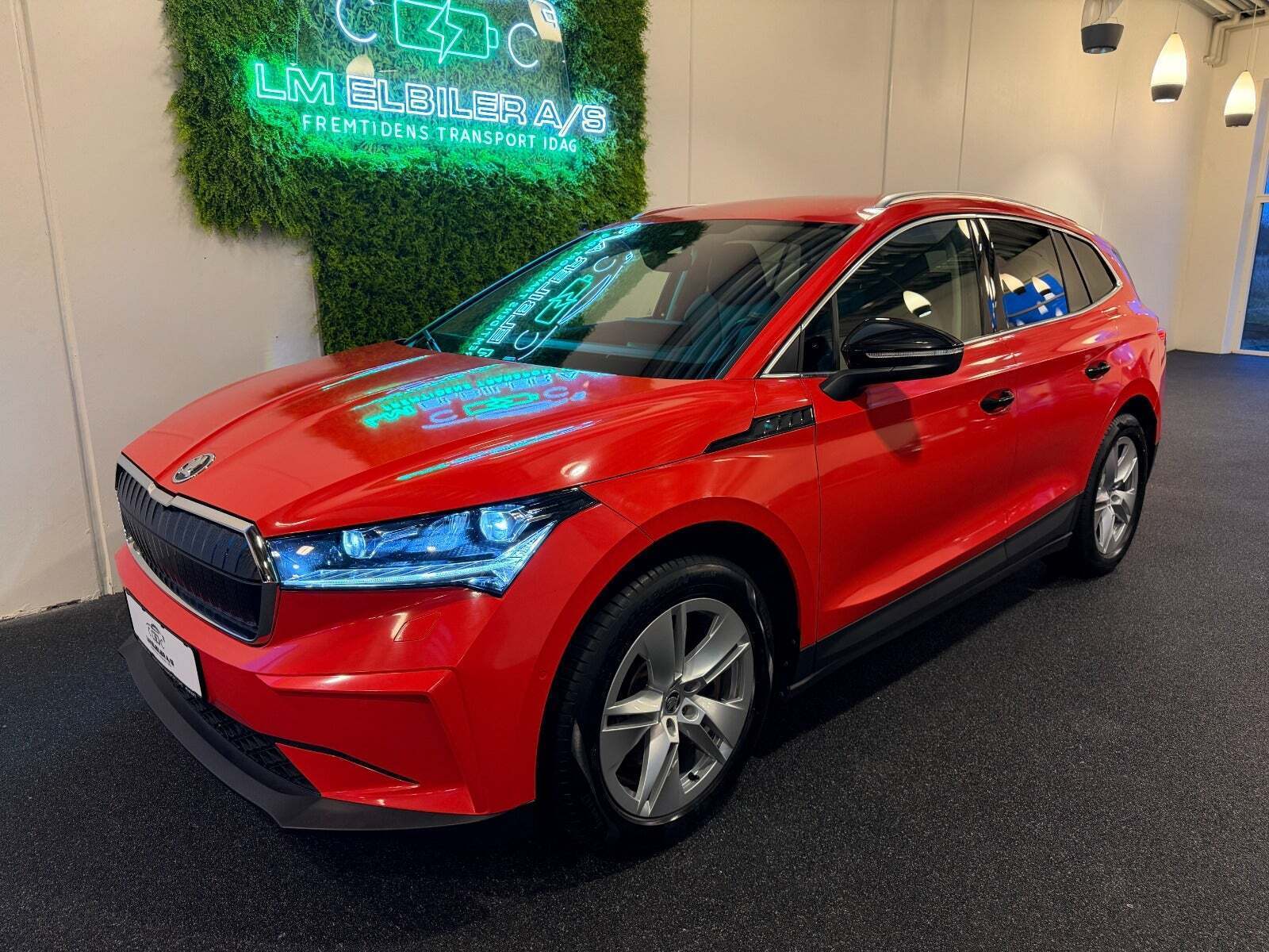 Skoda Enyaq 80 iV ecoSuite