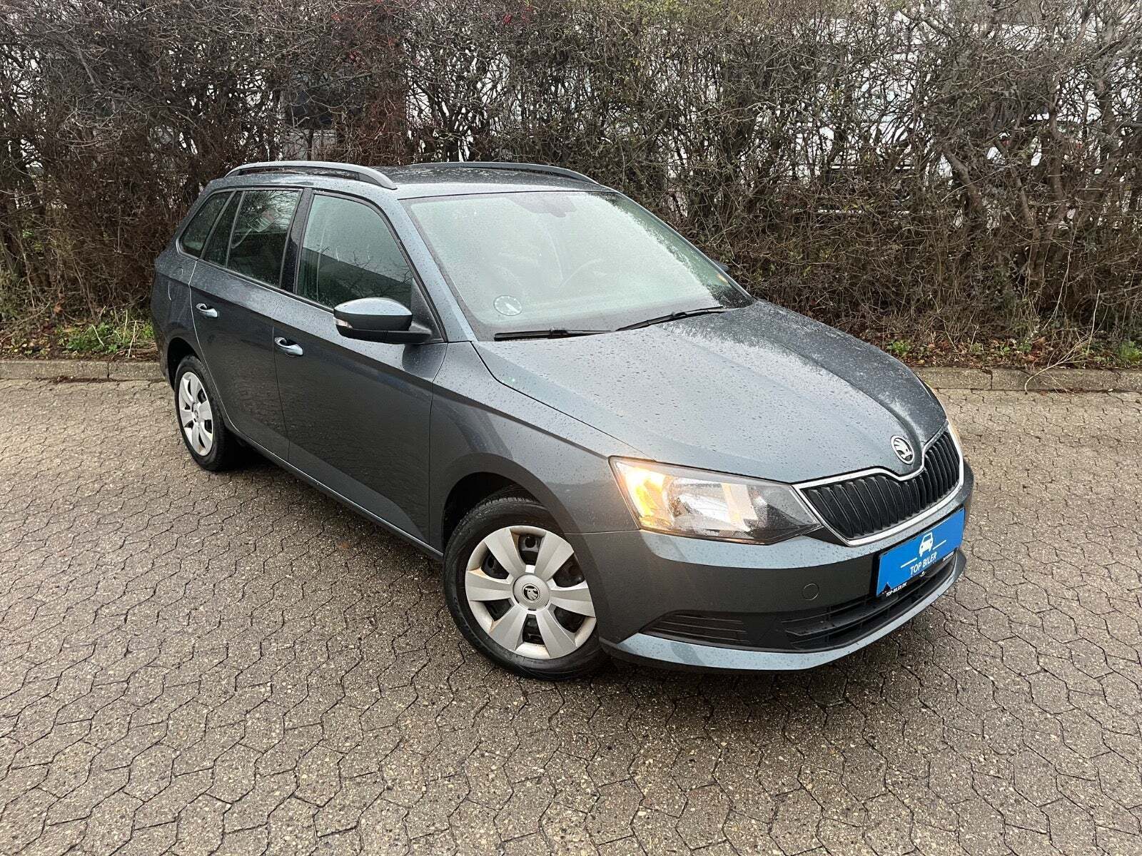 Skoda Fabia 1,0 TSi 110 Style Combi DSG