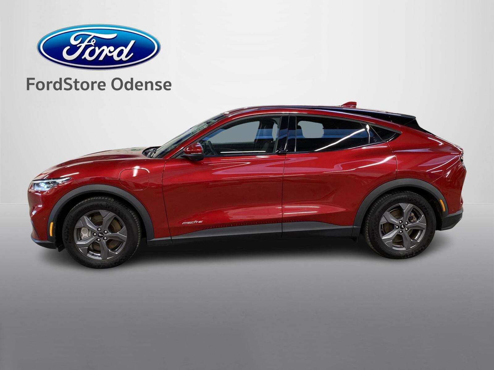 Ford Mustang Mach-E 75 Standard Range