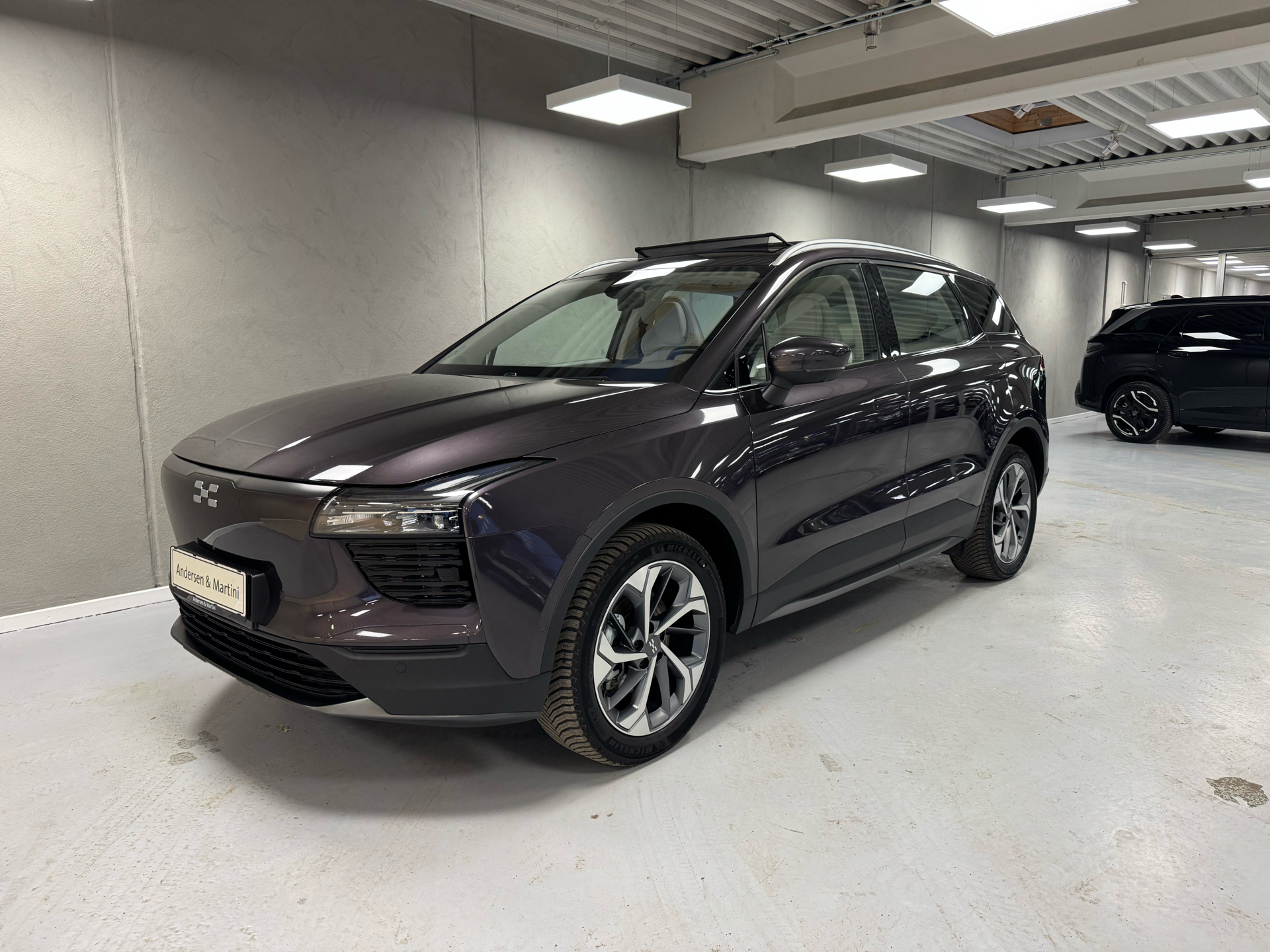 Aiways U5 EL Premium 204HK 5d Aut.