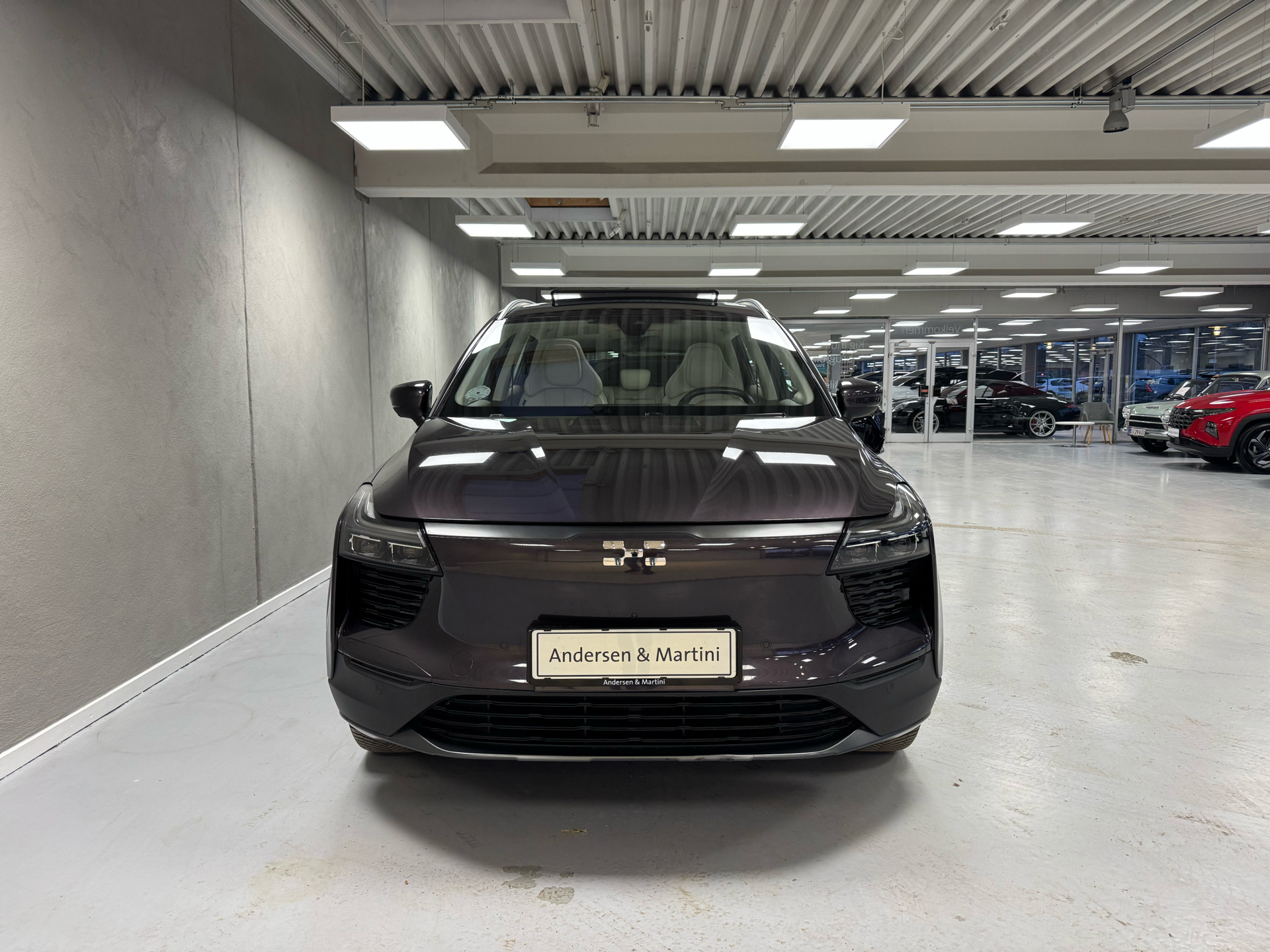 Aiways U5 EL Premium 204HK 5d Aut.