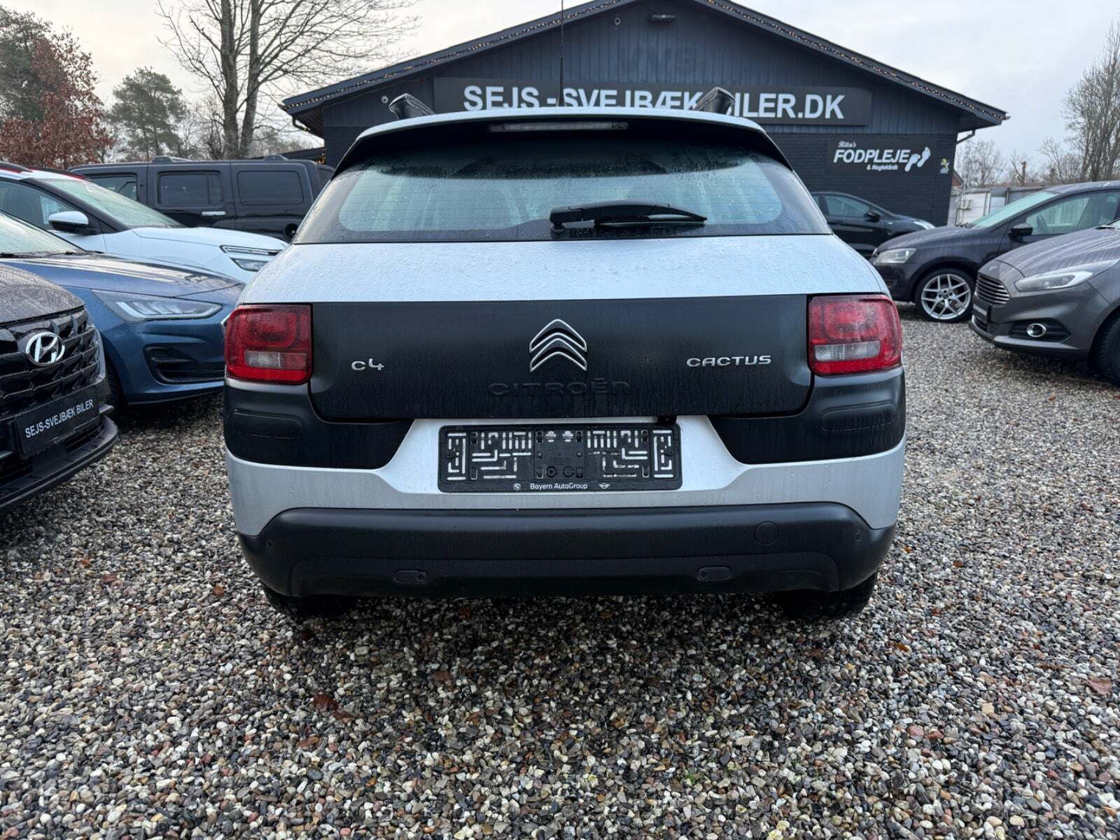 Citroën C4 Cactus 1,6 BlueHDi 100 Challenge Van