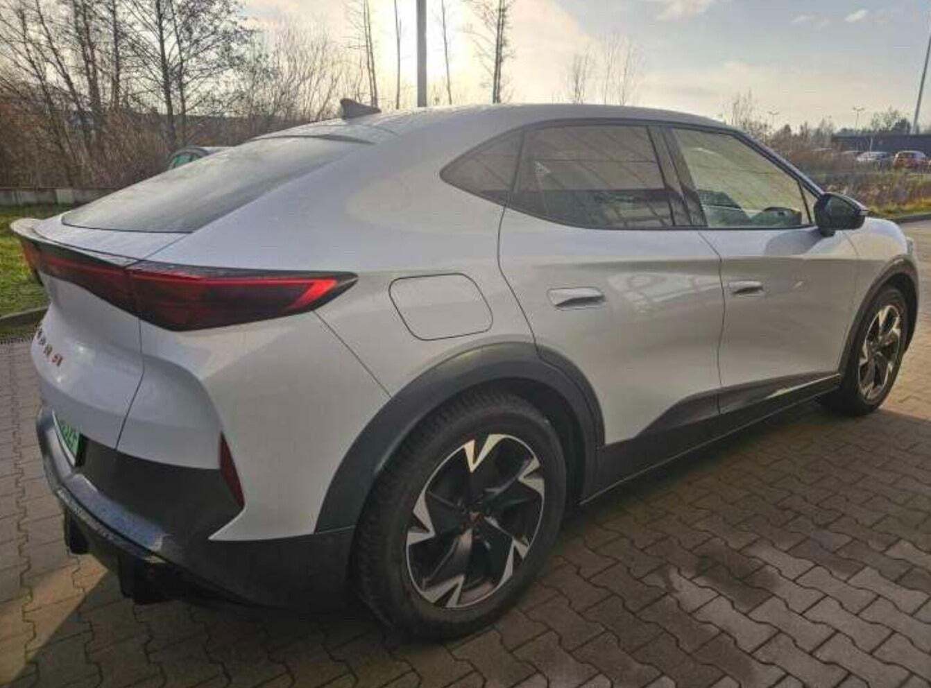 Cupra Tavascan 77 Endurance