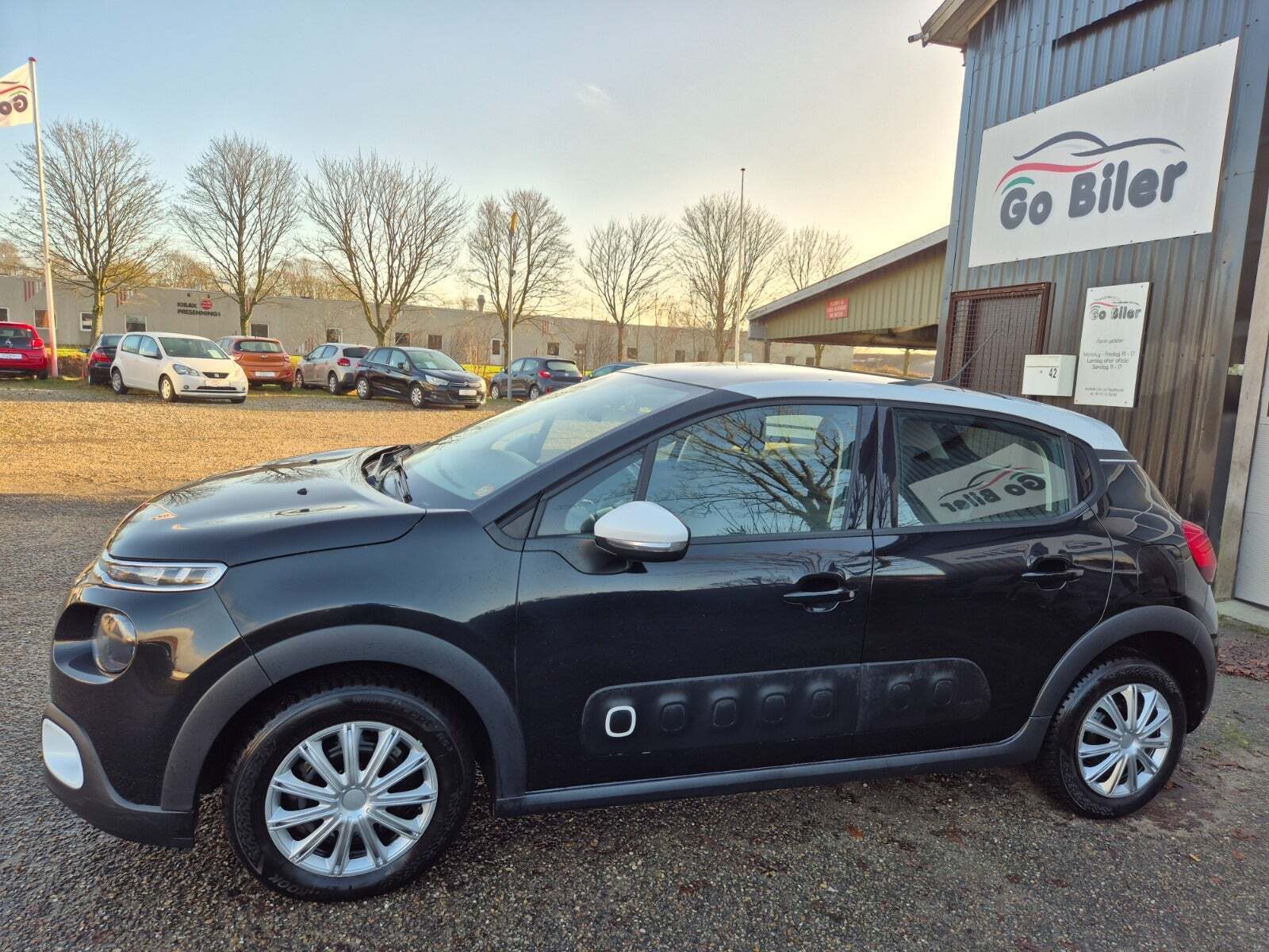 Citroën C3 1,6 BlueHDi 100 SkyLine