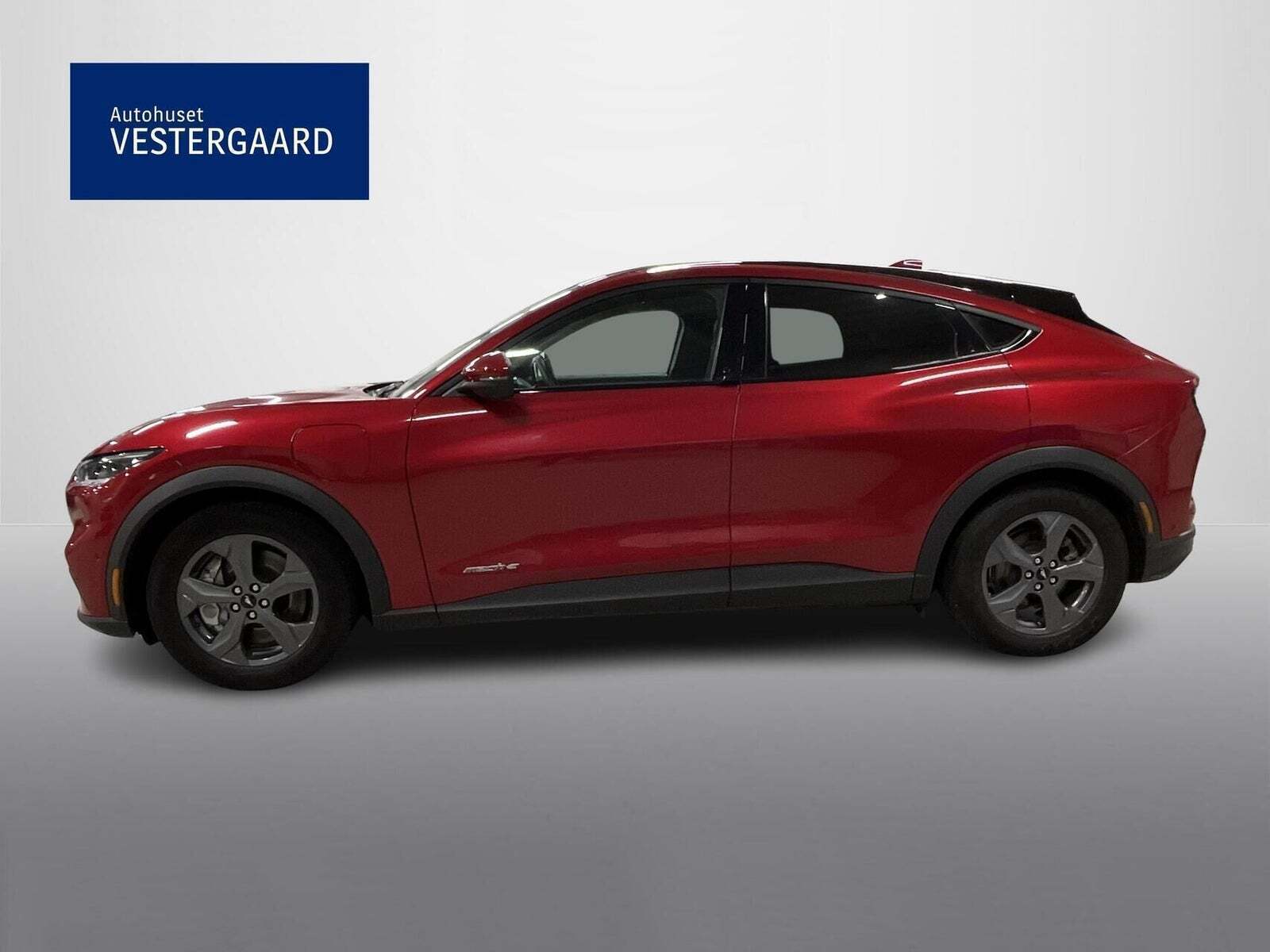 Ford Mustang Mach-E 75 Standard Range