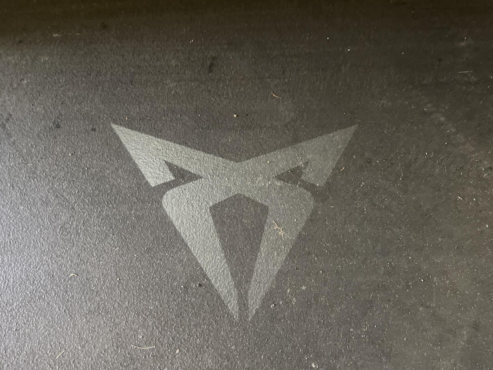 Hvid Cupra Tavascan fra 2025