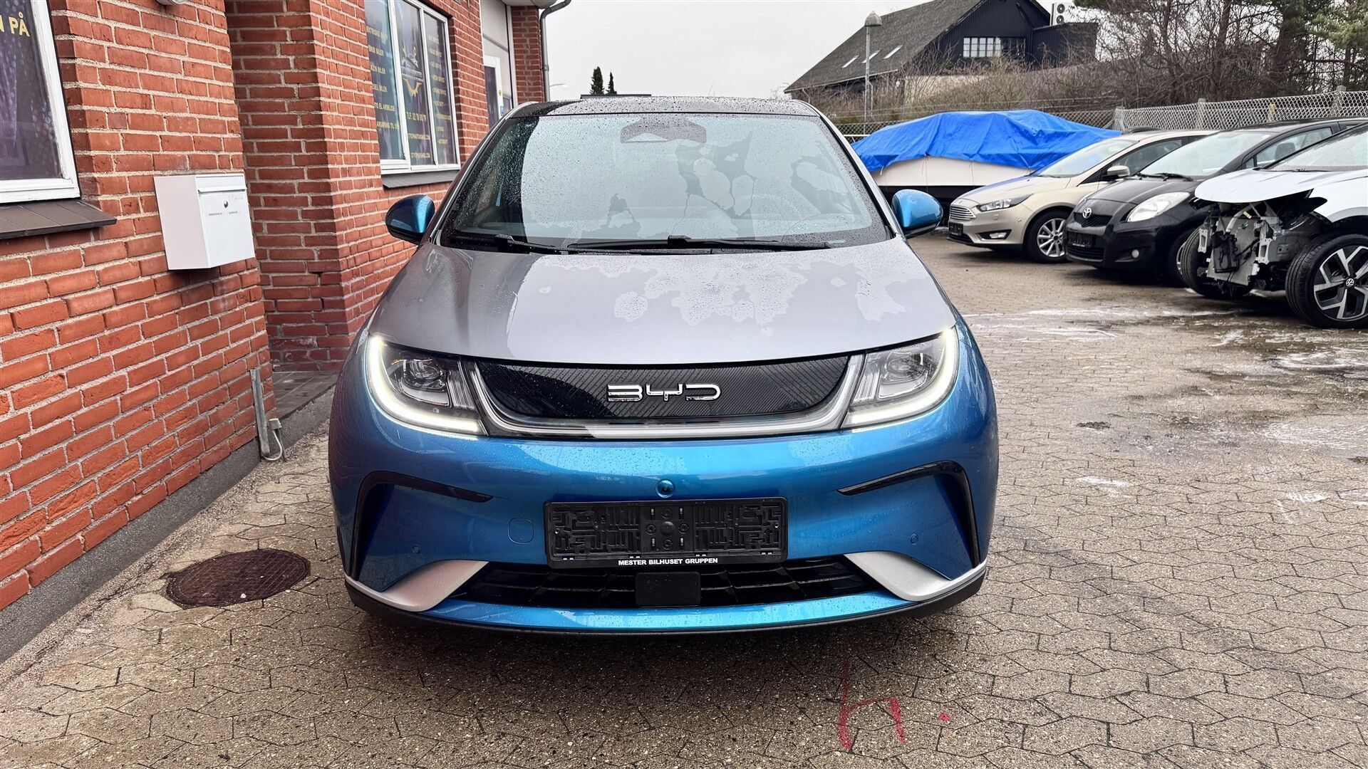 Blå BYD Dolphin fra 2024