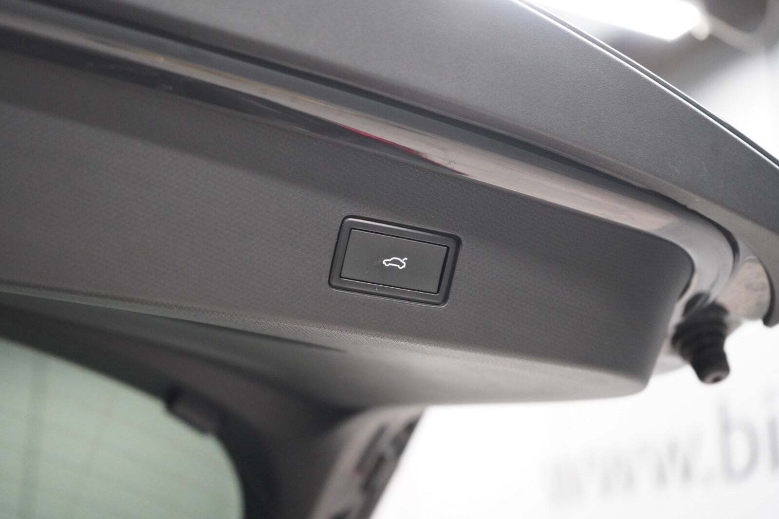 Cupra Tavascan 77 Endurance