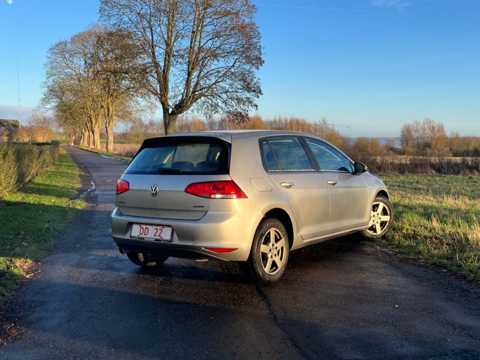 VW Golf VII 1,6 TDi 110 BlueMotion