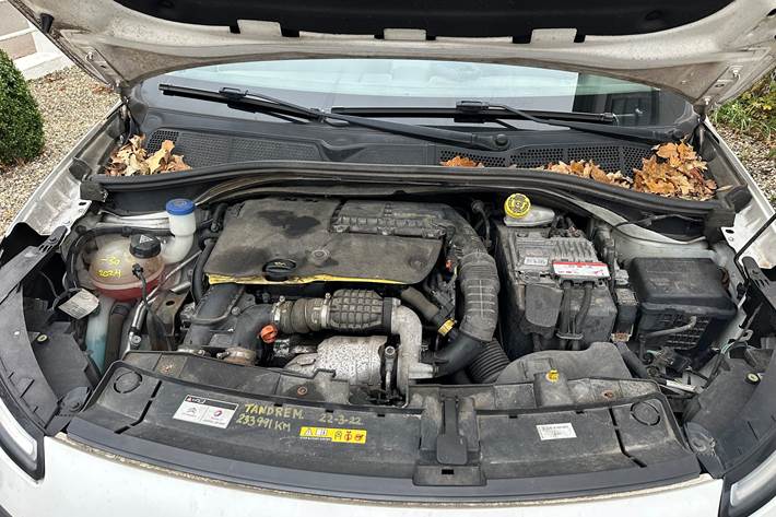 Hvid Citroën C4 Cactus fra 2015