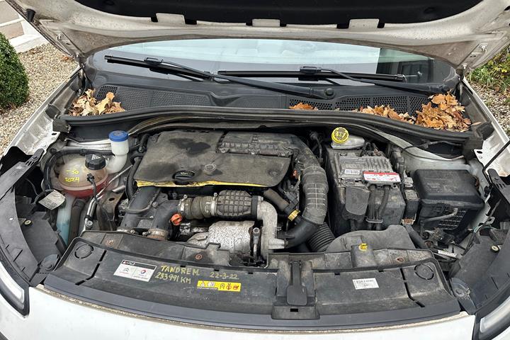 Hvid Citroën C4 Cactus fra 2015