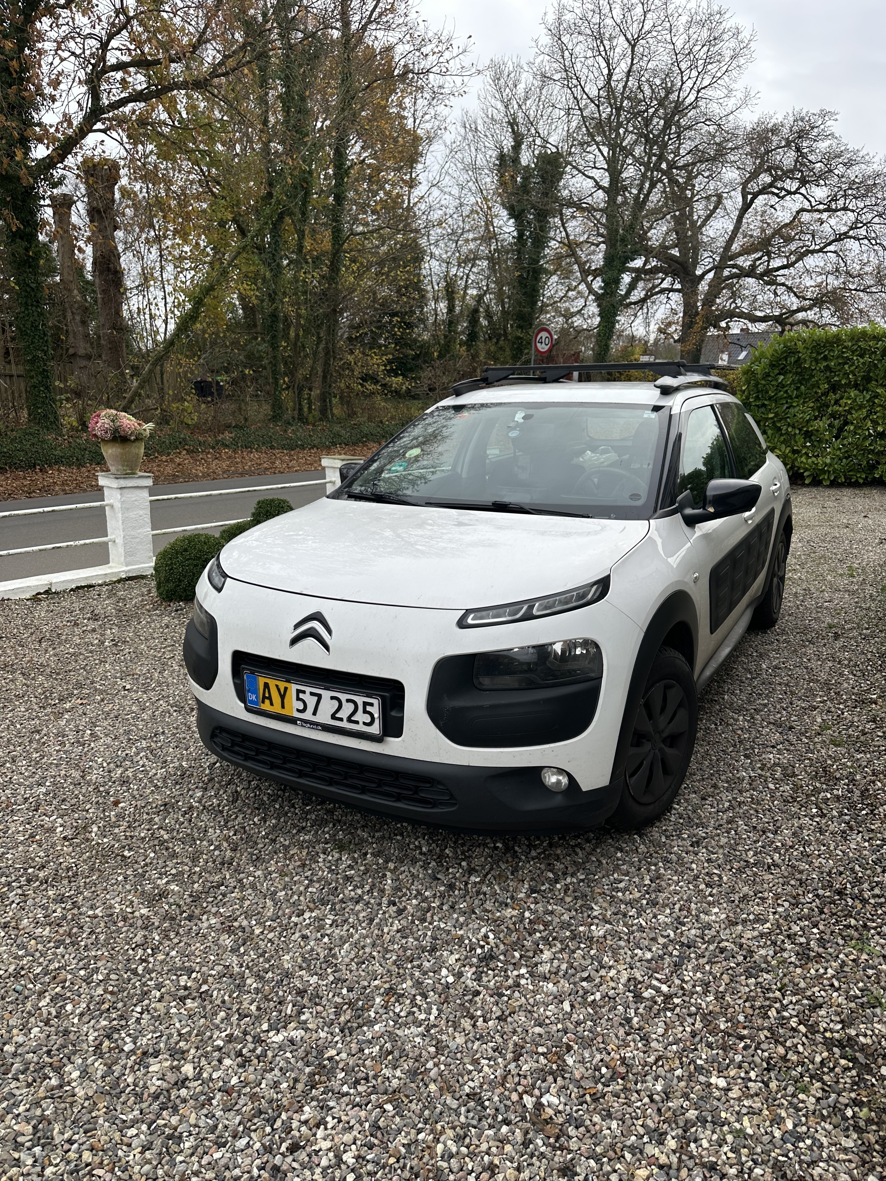 Hvid Citroën C4 Cactus fra 2015