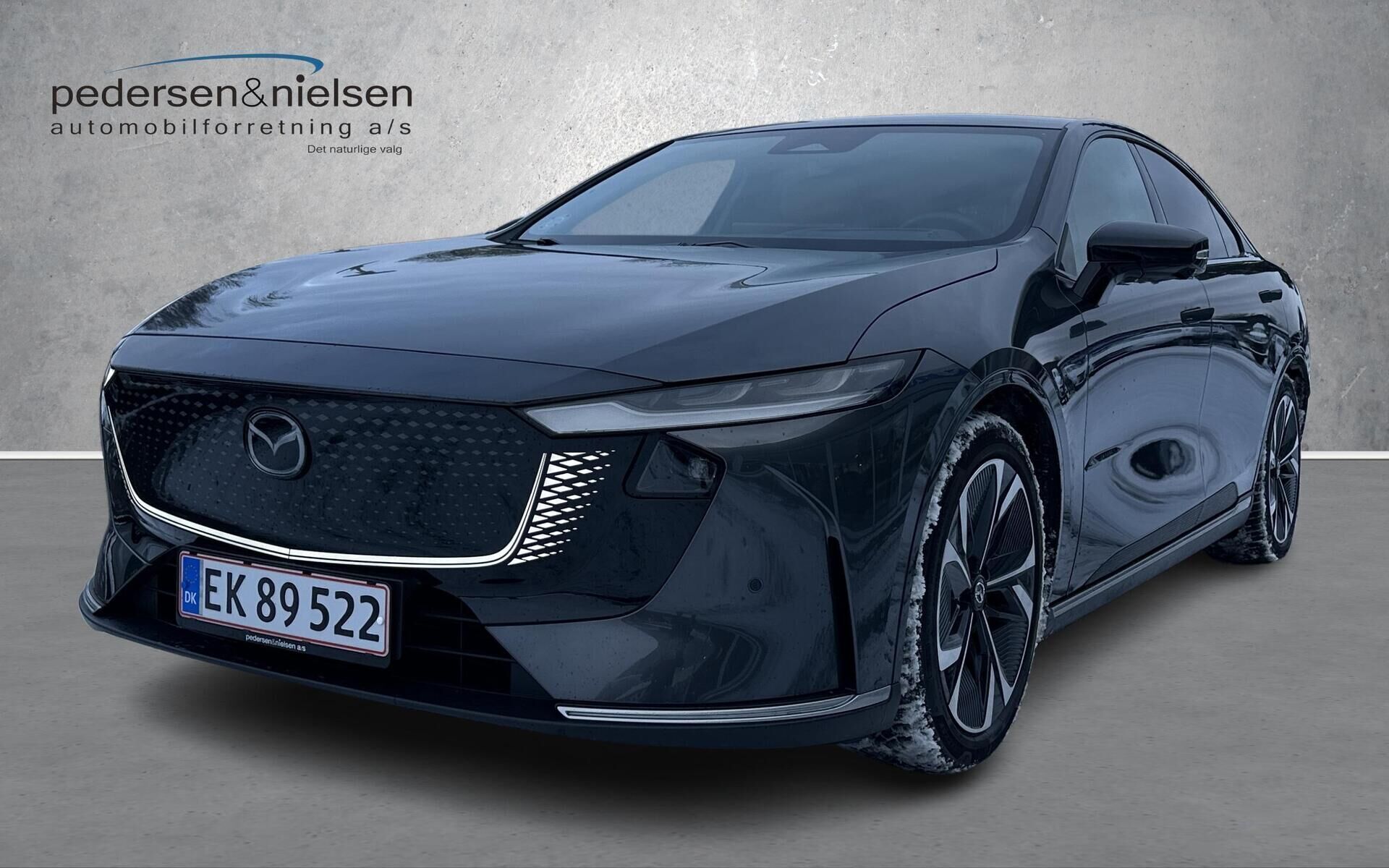 Pedersen & Nielsen - Auning