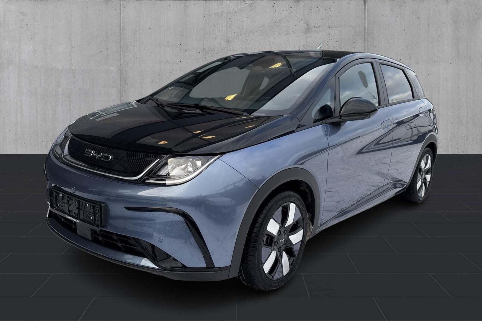 BYD Dolphin 60 Design