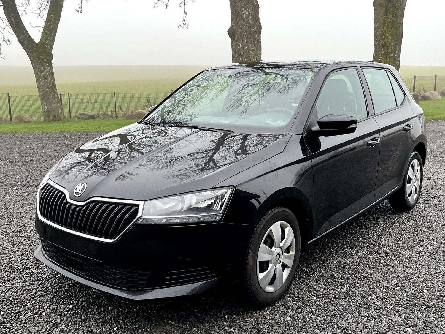 Skoda Fabia 1,0 TSi 95 Ambition