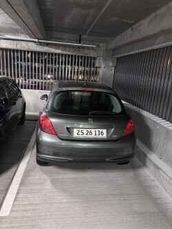 Peugeot 207 1,4 I 16V 5-DØRS