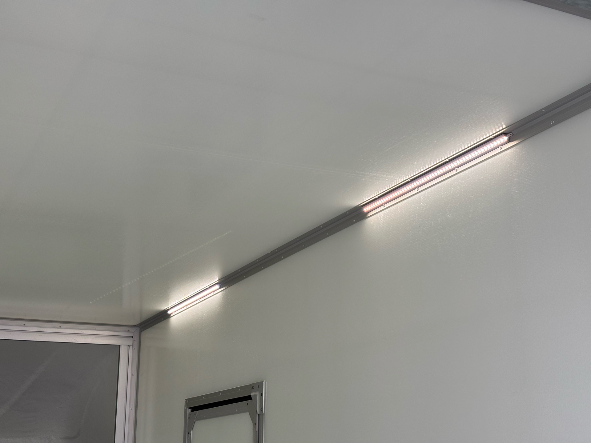 Hvid Iveco Daily fra 2026