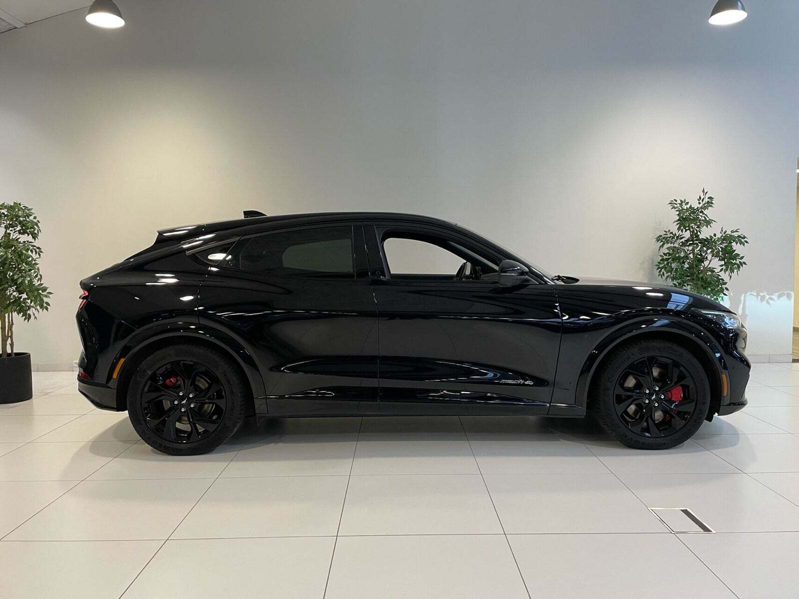 Ford Mustang Mach-E 75 Premium Standard Range AWD