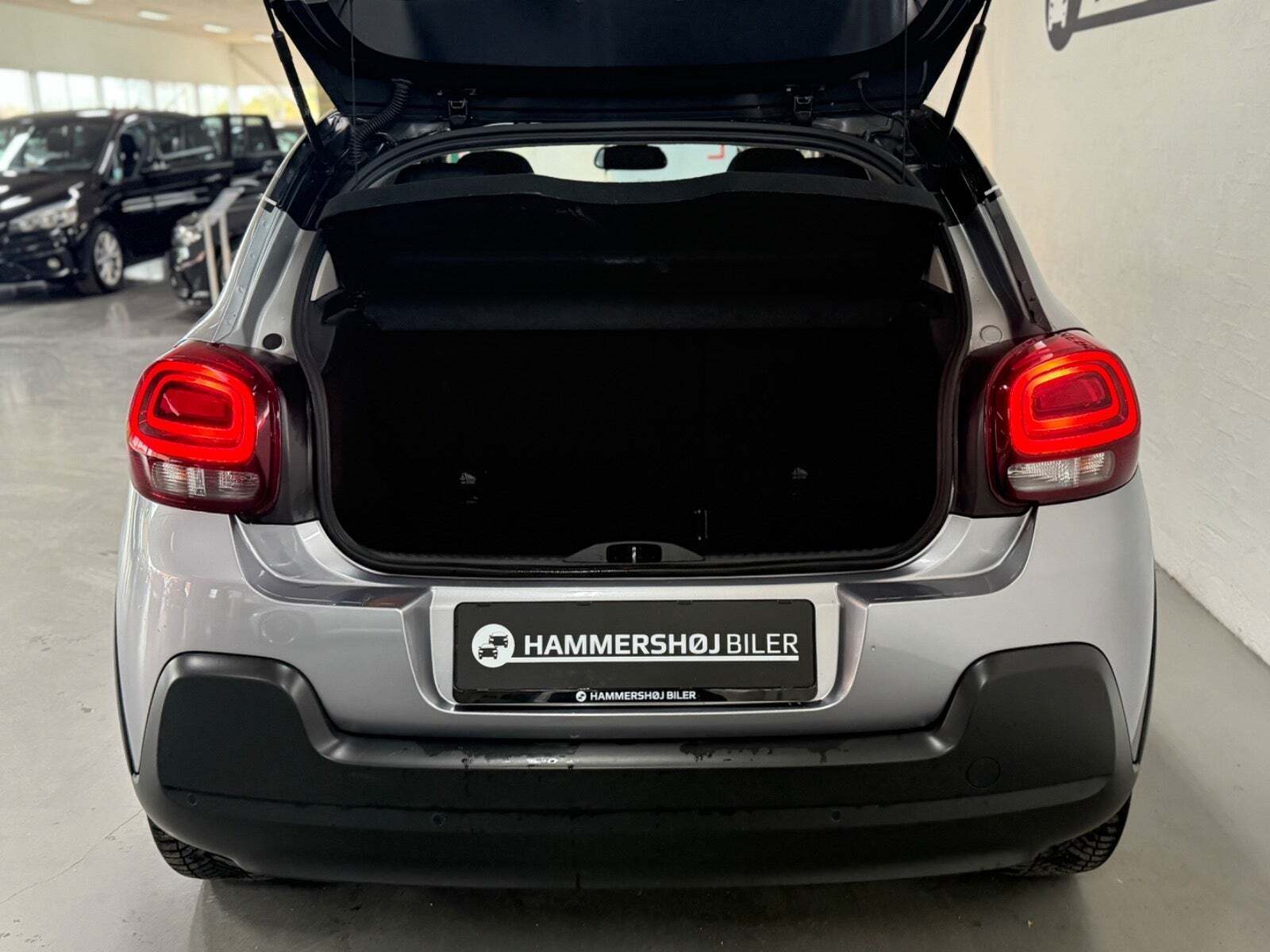 Citroën C3 1,5 BlueHDi 100 SkyLine