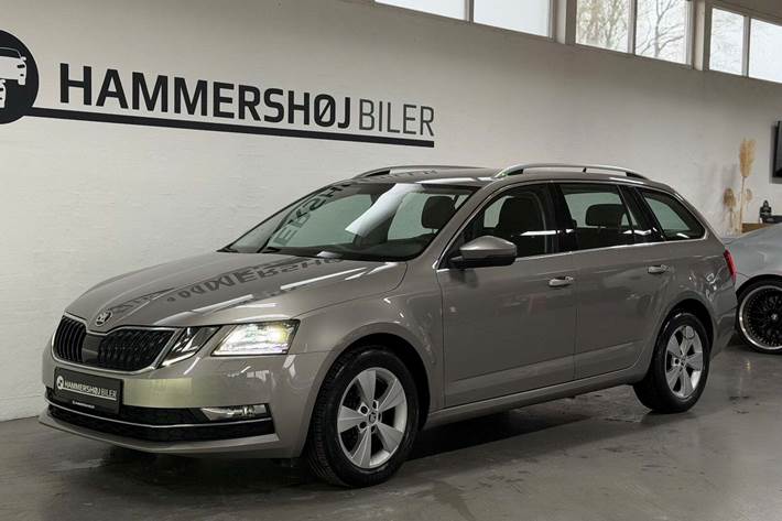 undefined Skoda Octavia fra 2019 set udefra