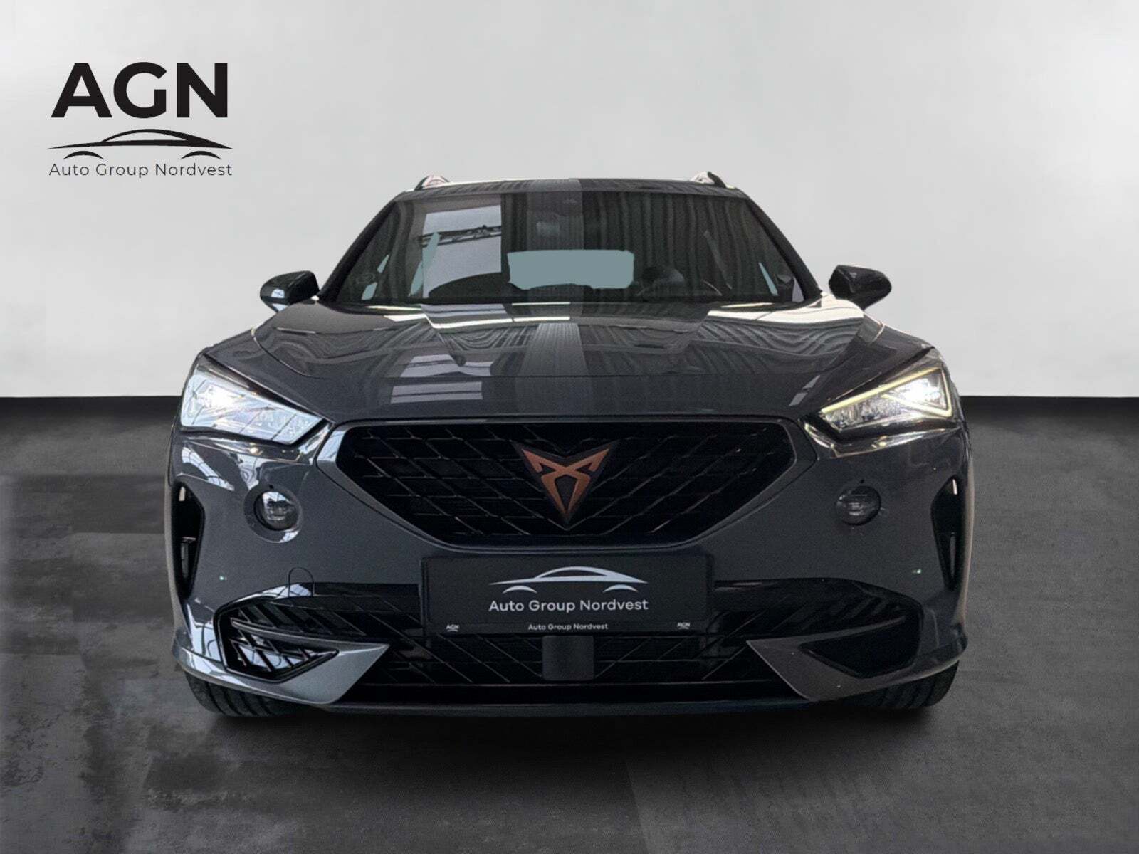 Cupra Formentor 1,5 TSi DSG