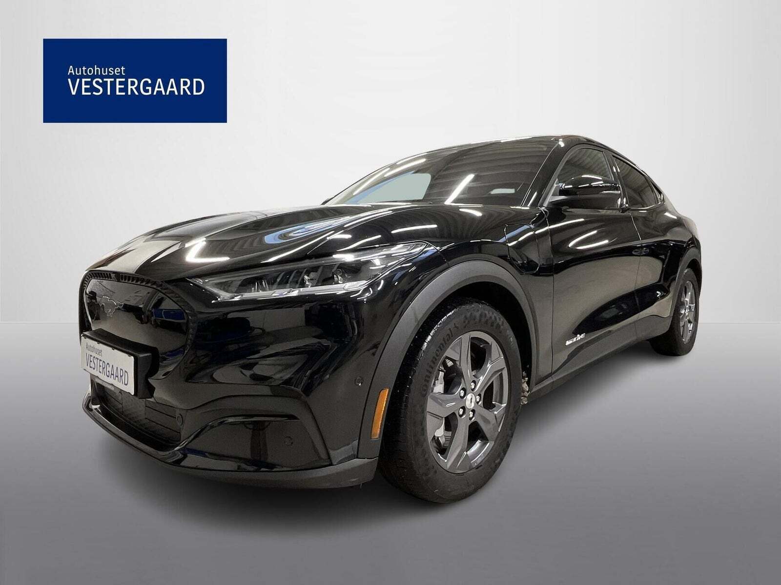 Ford Mustang Mach-E 75 Premium Standard Range