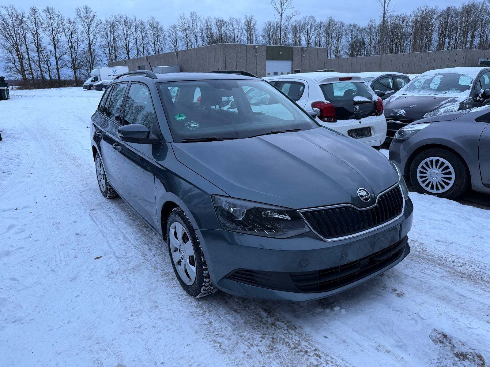 Skoda Fabia 1,0 TSi 110 Ambition Combi DSG