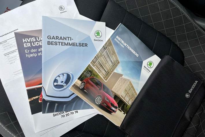 undefined Skoda Fabia fra 2020