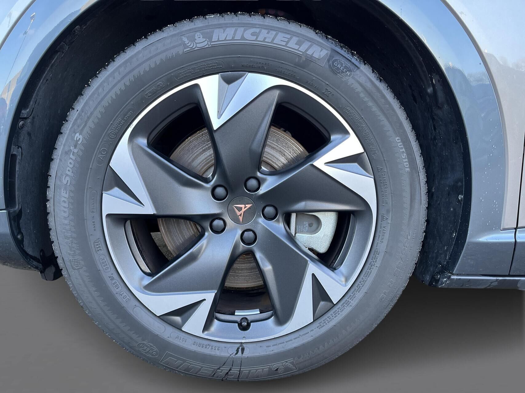 undefined Cupra Tavascan fra 2024