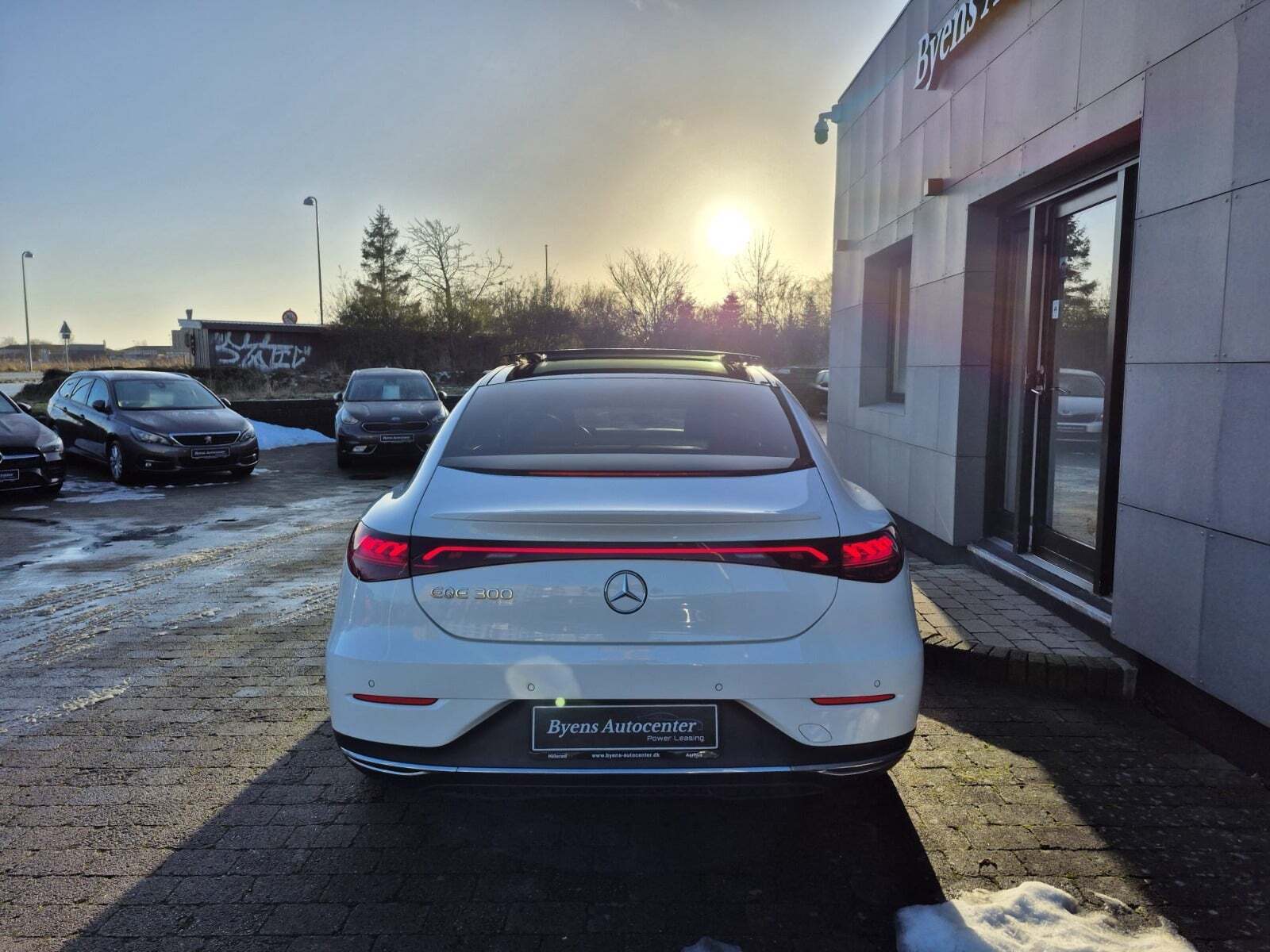 Mercedes EQE300 Electric Art